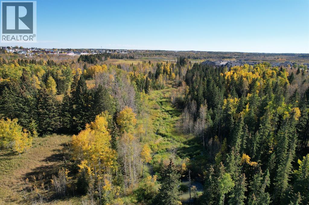 4911 62 Street, Rocky Mountain House, Alberta  T4T 1G1 - Photo 15 - A2284295