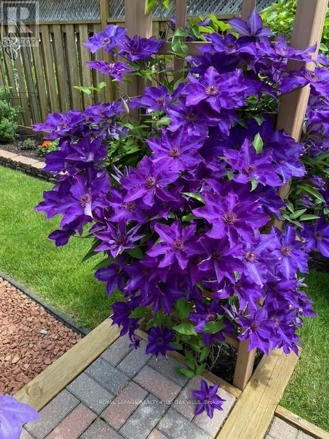 475 Sunset Drive, Oakville, Ontario  L6L 3N3 - Photo 48 - W12763146