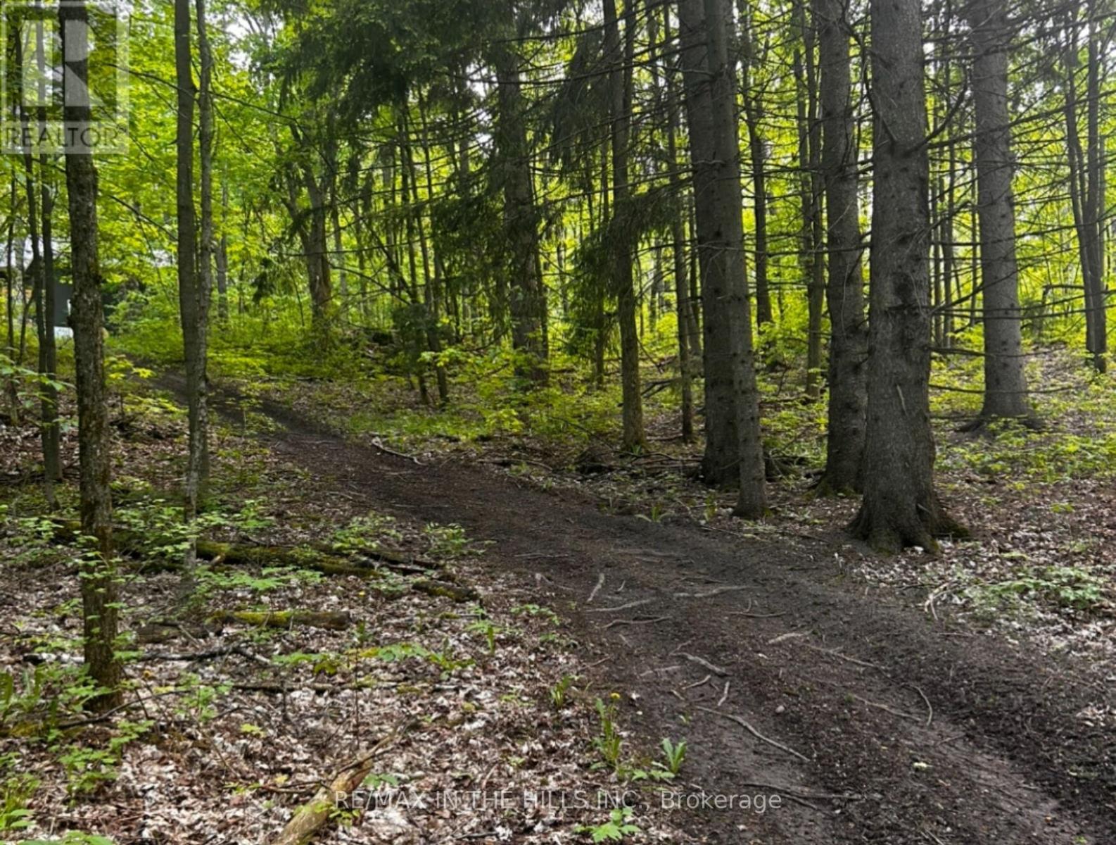 427223 25 Side Road, Mono, Ontario  L9V 1E6 - Photo 28 - X12763294