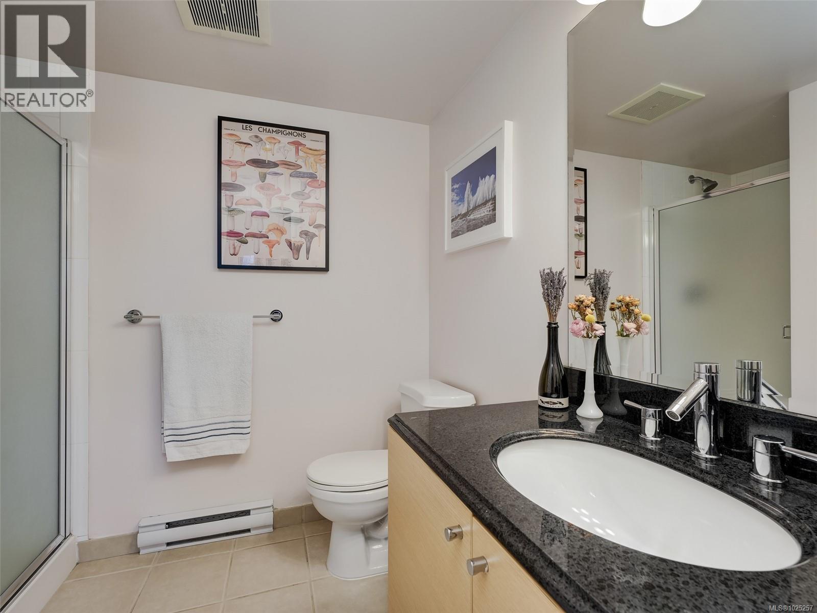 304 1315 Esquimalt Rd, Esquimalt, British Columbia  V9A 3P5 - Photo 16 - 1025257