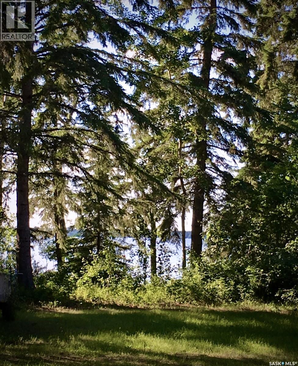 1300 Birch Drive, Turtle Lake, Saskatchewan  S0M 1J0 - Photo 4 - SK027396