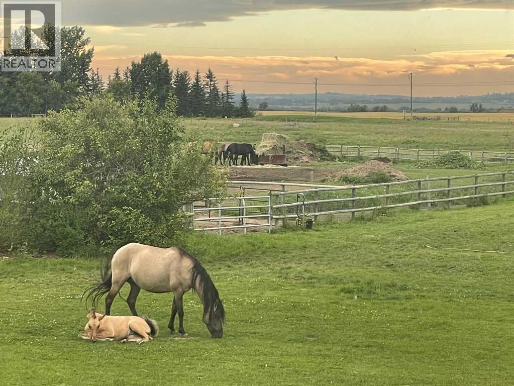 218044 72 Street E, Rural Foothills County, Alberta  T1S 3V6 - Photo 8 - A2279860