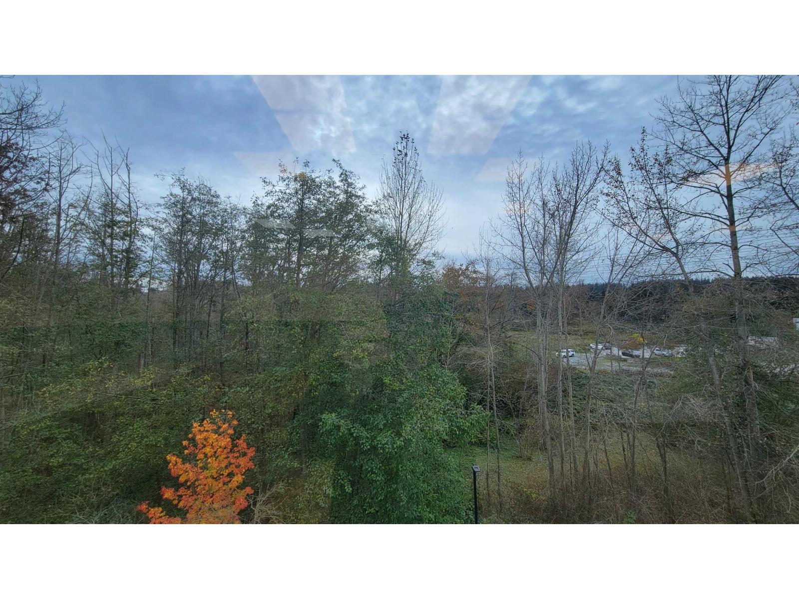 412 15336 31 Avenue, Surrey, British Columbia  V3Z 0X2 - Photo 29 - C8075920