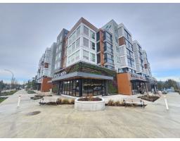 508 19953 76 AVENUE, Langley, British Columbia