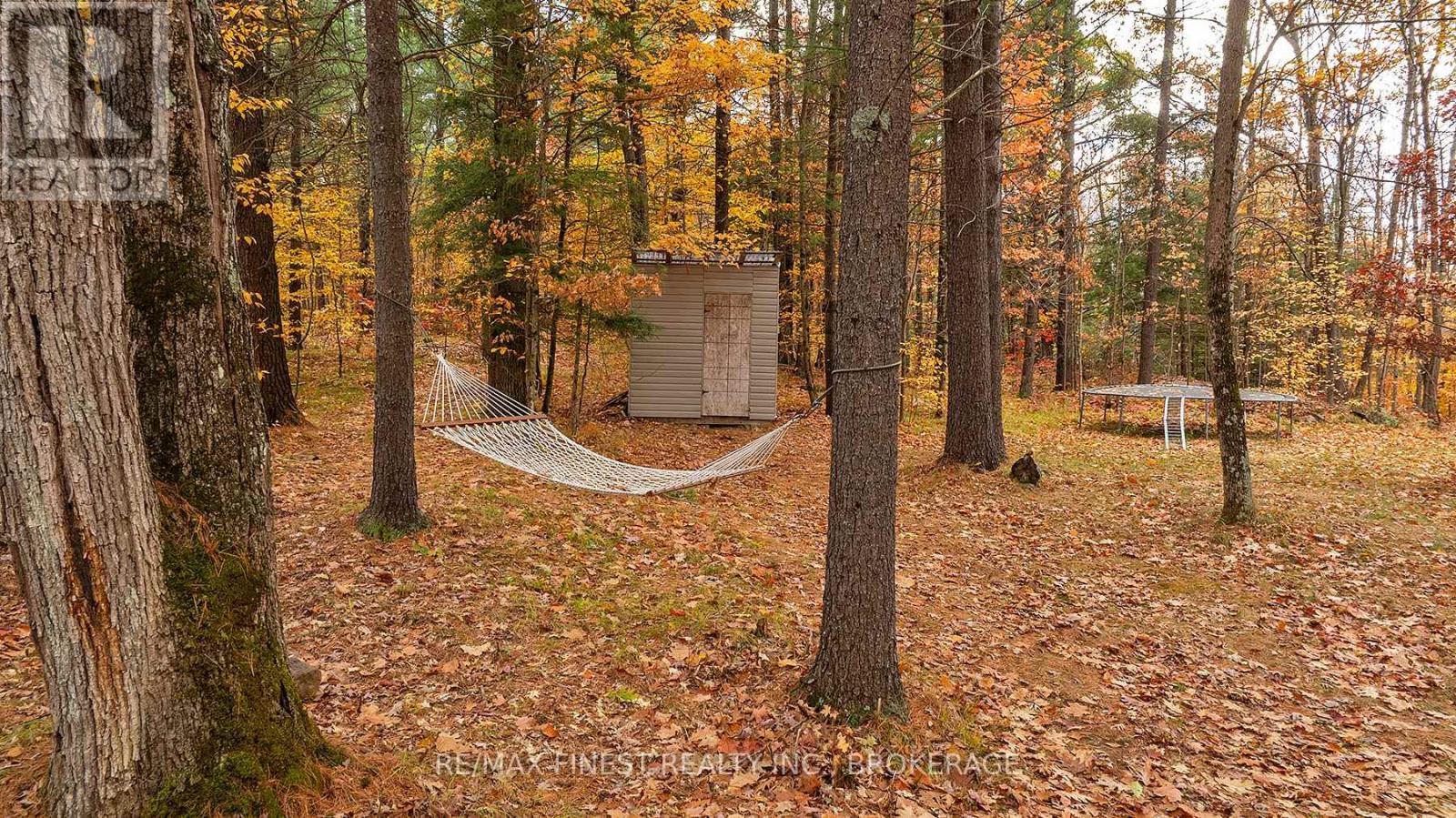 1131 Moon Road, Frontenac, Ontario  K0H 1T0 - Photo 12 - X12485630