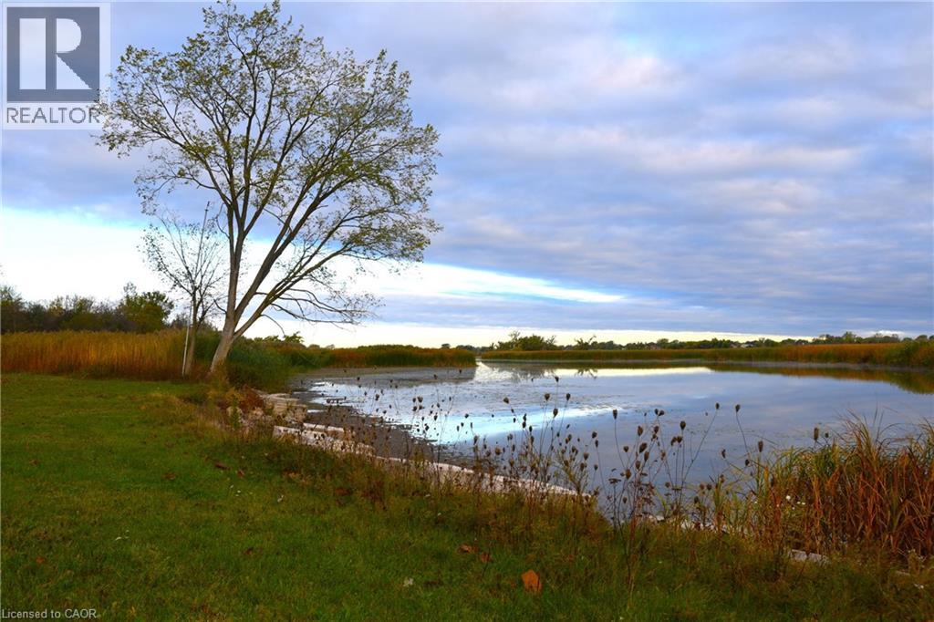 225 Port Maitland Road, Dunnville, Ontario  N1A 2W6 - Photo 30 - 40802813