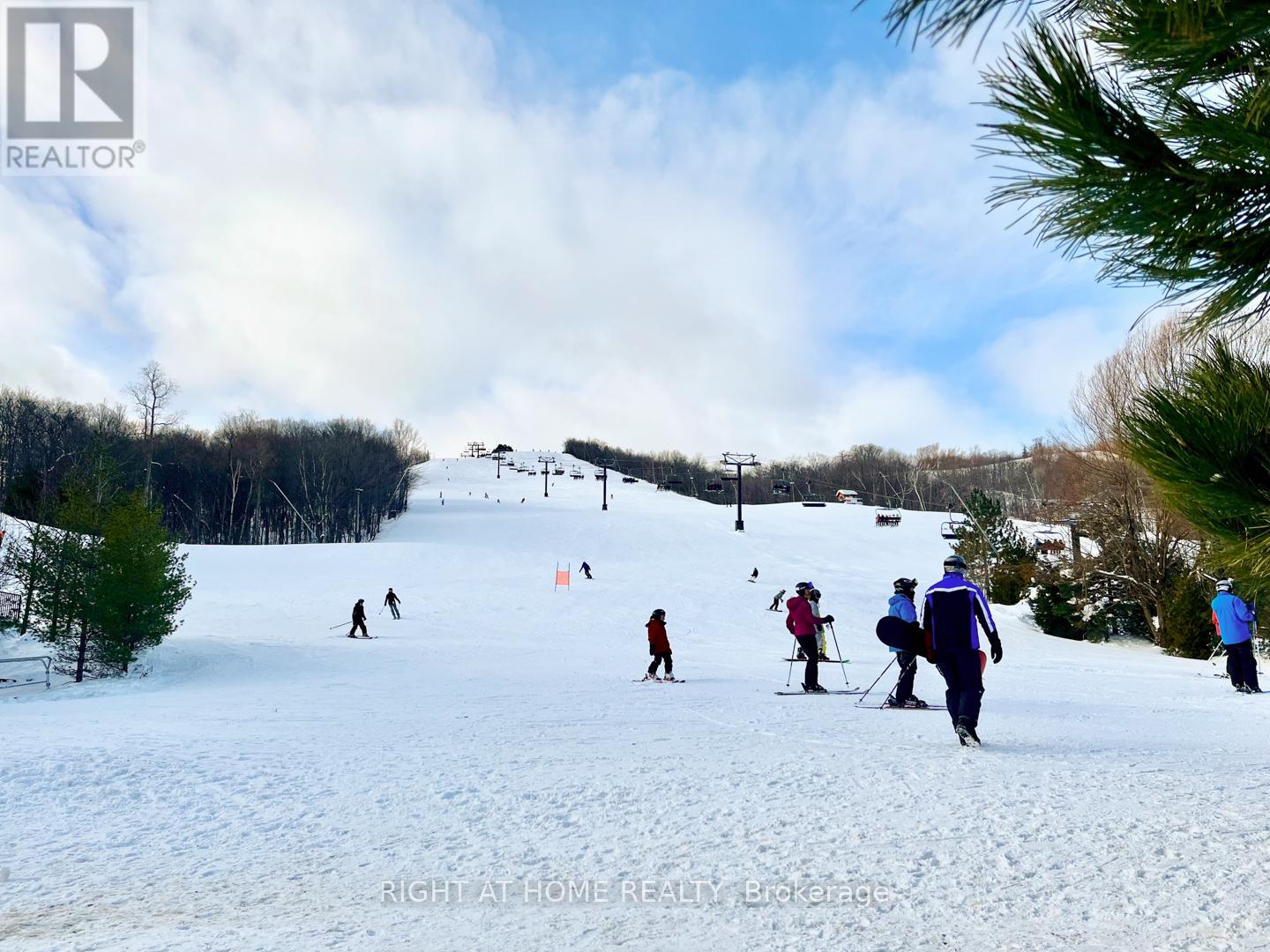 157 Courtland Street, Blue Mountains, Ontario  L9Y 5L7 - Photo 45 - X12763646