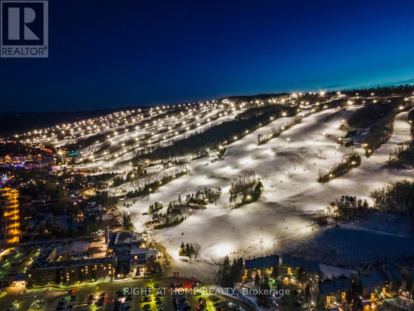 157 Courtland Street, Blue Mountains, Ontario  L9Y 5L7 - Photo 46 - X12763646