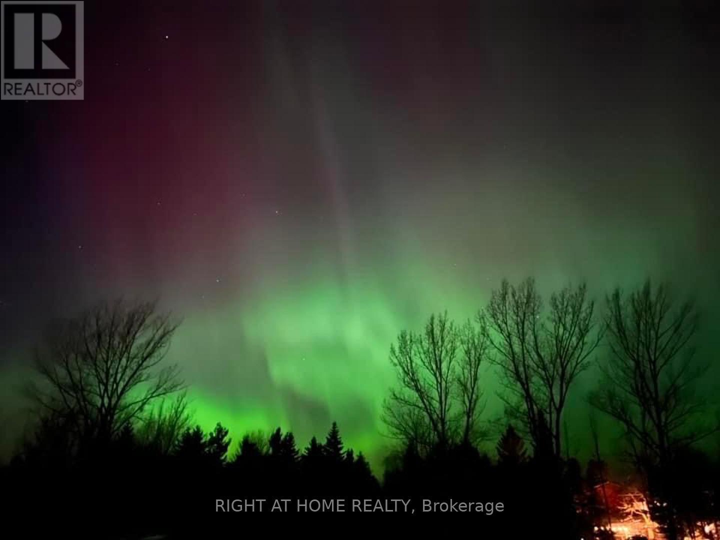 157 Courtland Street, Blue Mountains, Ontario  L9Y 5L7 - Photo 47 - X12763646