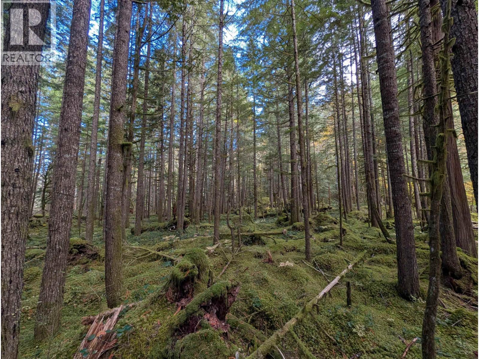 2045 N Rustad Road, Squamish, British Columbia  V0N 3G0 - Photo 14 - R3048122