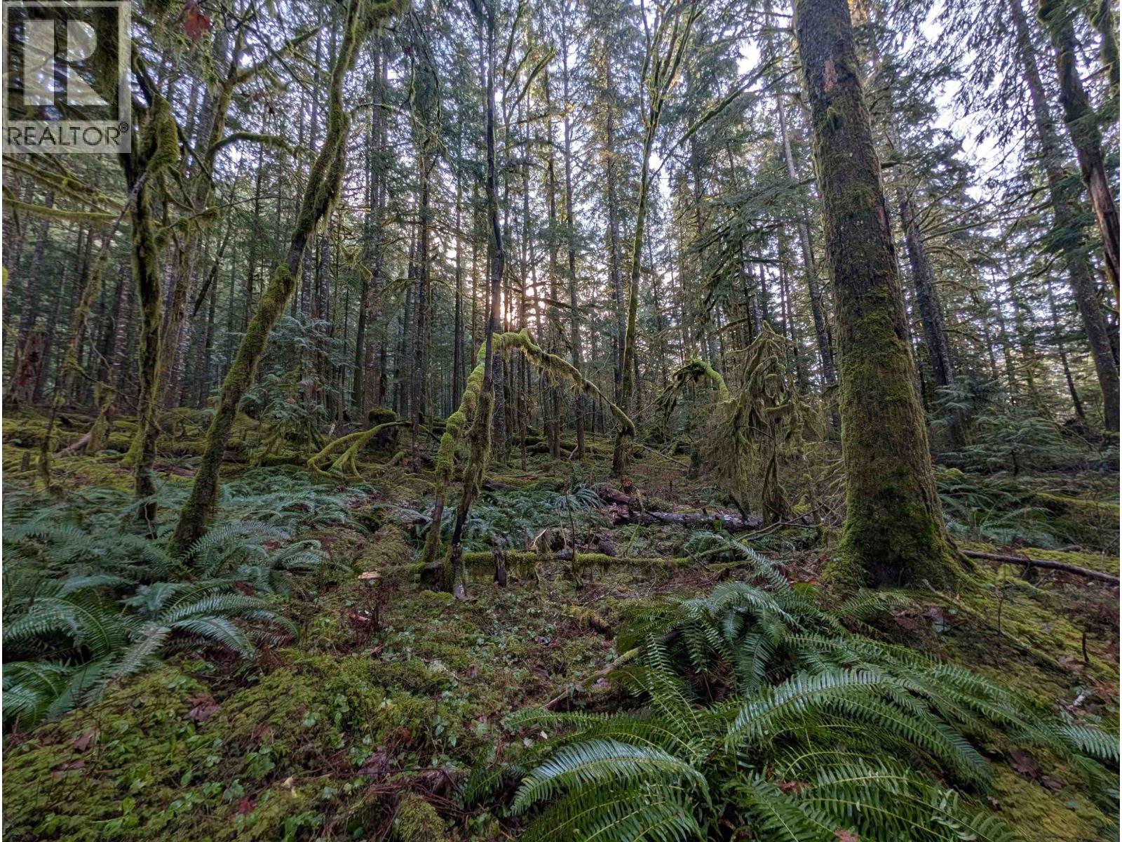 2045 N Rustad Road, Squamish, British Columbia  V0N 3G0 - Photo 20 - R3048122