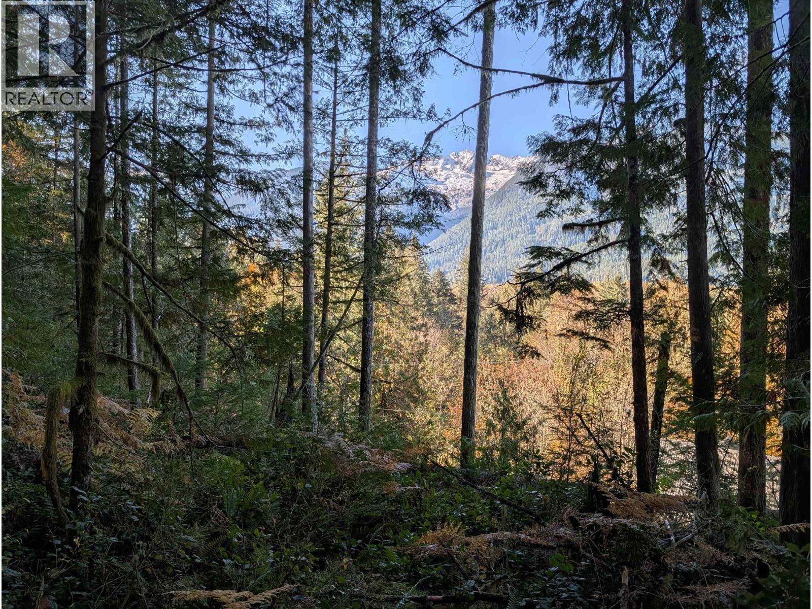 2045 N Rustad Road, Squamish, British Columbia  V0N 3G0 - Photo 19 - R3048122