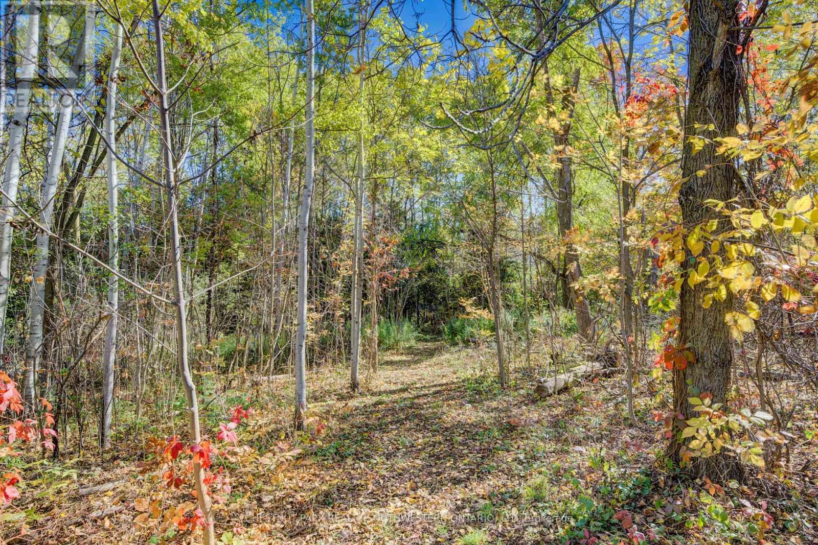 705 Eramosa Road, Guelph, Ontario  N1E 5Z1 - Photo 10 - X12763870