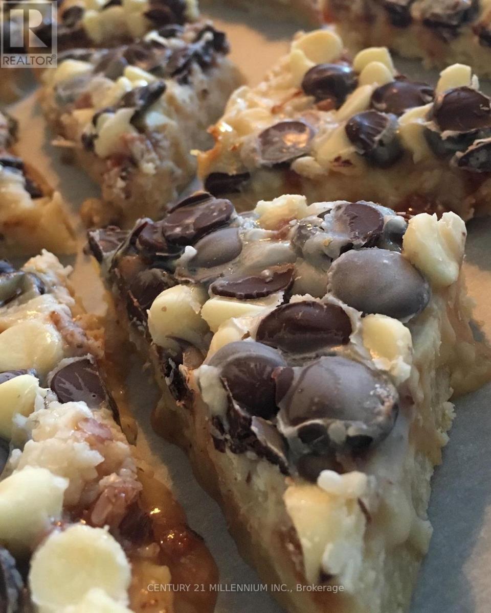 17 Armstrong Street, Orangeville, Ontario  L9W 3H6 - Photo 43 - W12763786