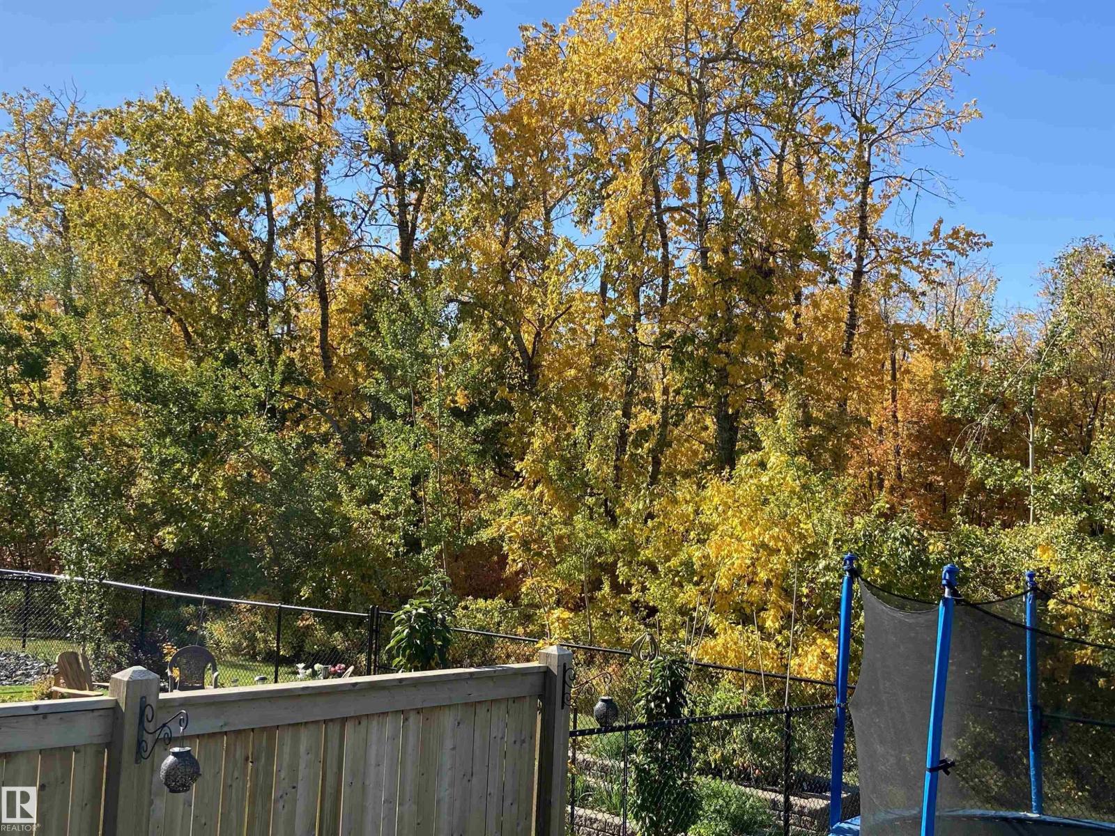 114 Avebury Co, Sherwood Park, Alberta  T8H 0Z3 - Photo 71 - E4471812