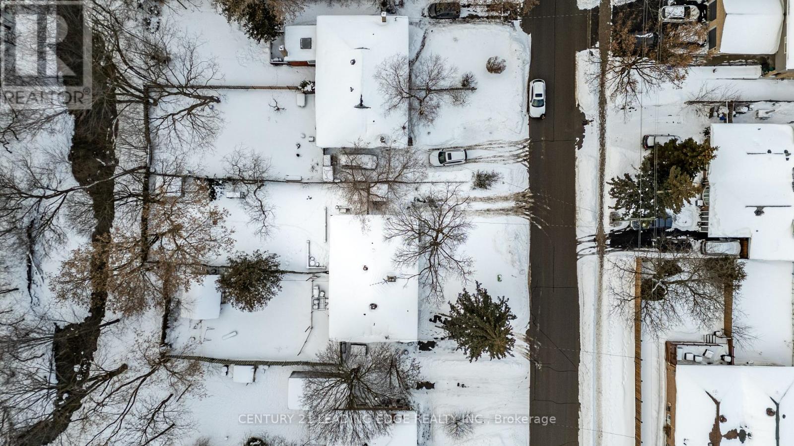 236 Cedar Avenue, Richmond Hill, Ontario  L4C 2B2 - Photo 24 - N12764038