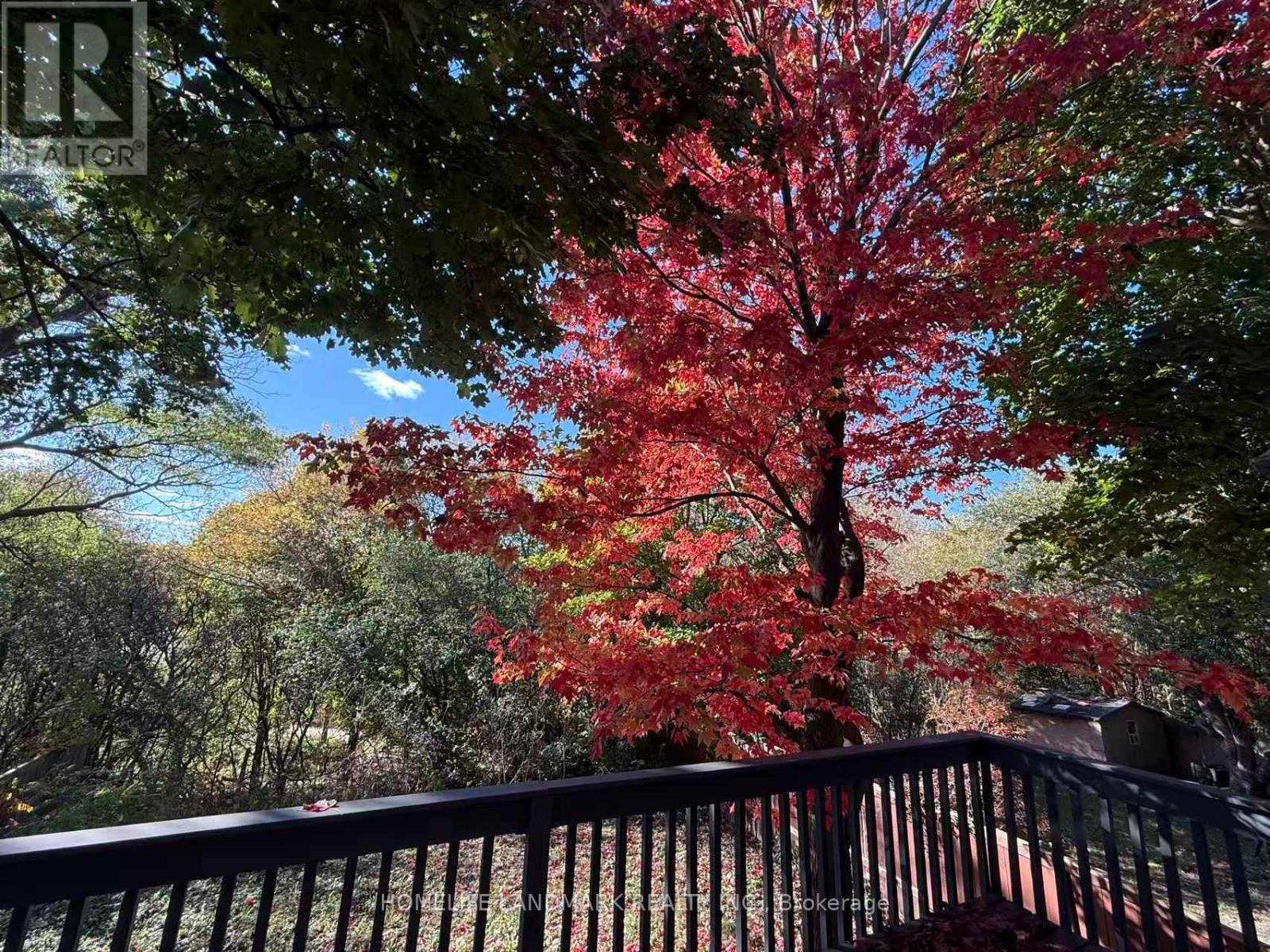 30 Misty Moor Drive, Richmond Hill, Ontario  L4C 6R1 - Photo 33 - N12763582