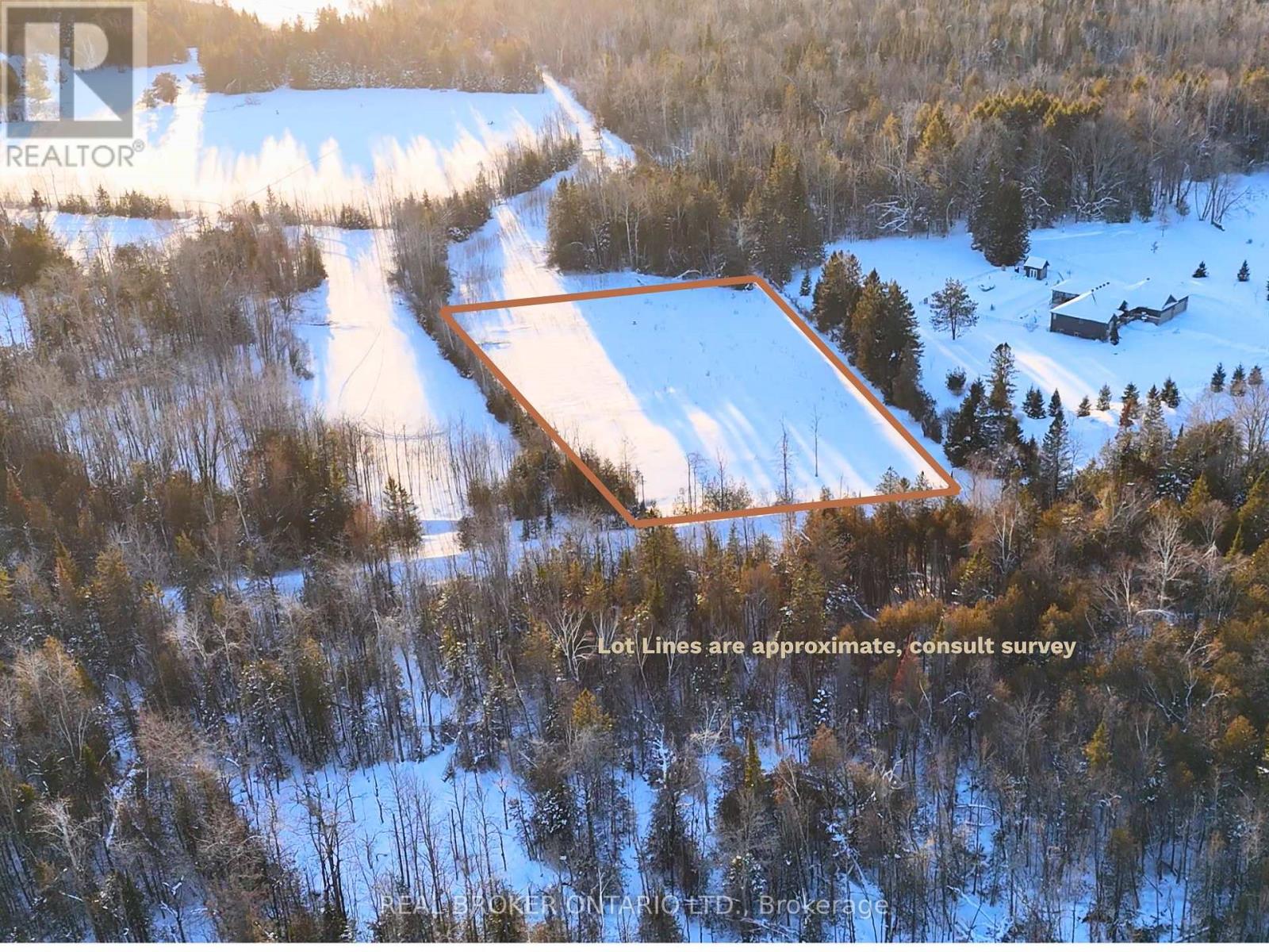 N/a 2 Line, Oro-Medonte, Ontario  L0L 2L0 - Photo 5 - S12743616