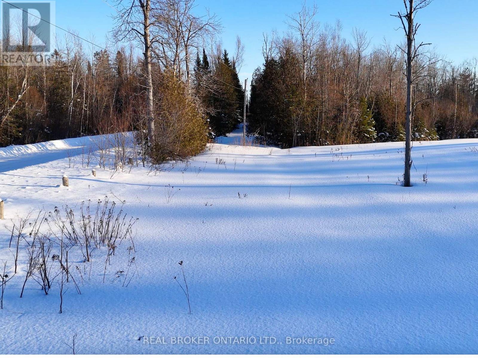 N/a 2 Line, Oro-Medonte, Ontario  L0L 2L0 - Photo 3 - S12743616