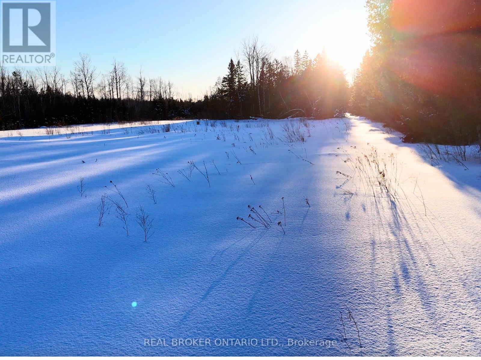 N/a 2 Line, Oro-Medonte, Ontario  L0L 2L0 - Photo 4 - S12743616