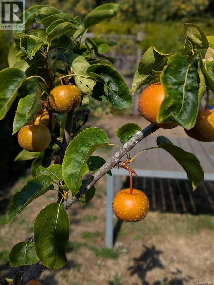 525 Gatacre St, Ladysmith, British Columbia  V9G 1A3 - Photo 25 - 1024763