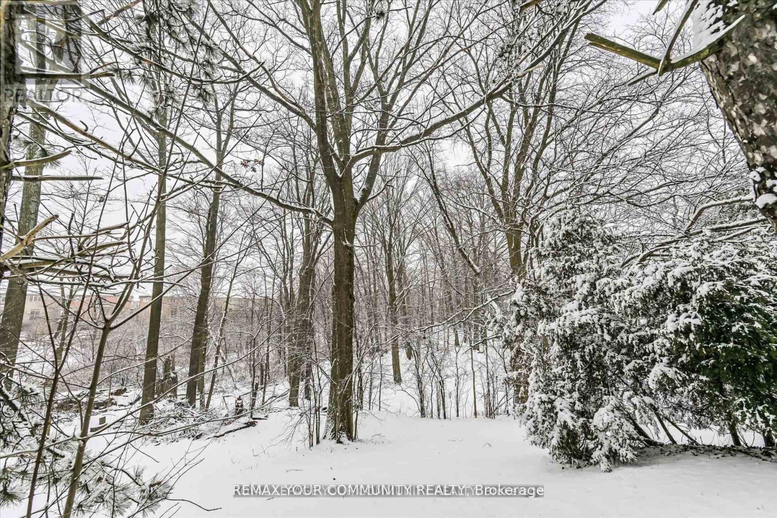 247 Harris Avenue, Richmond Hill, Ontario  L4E 3M3 - Photo 23 - N12764170