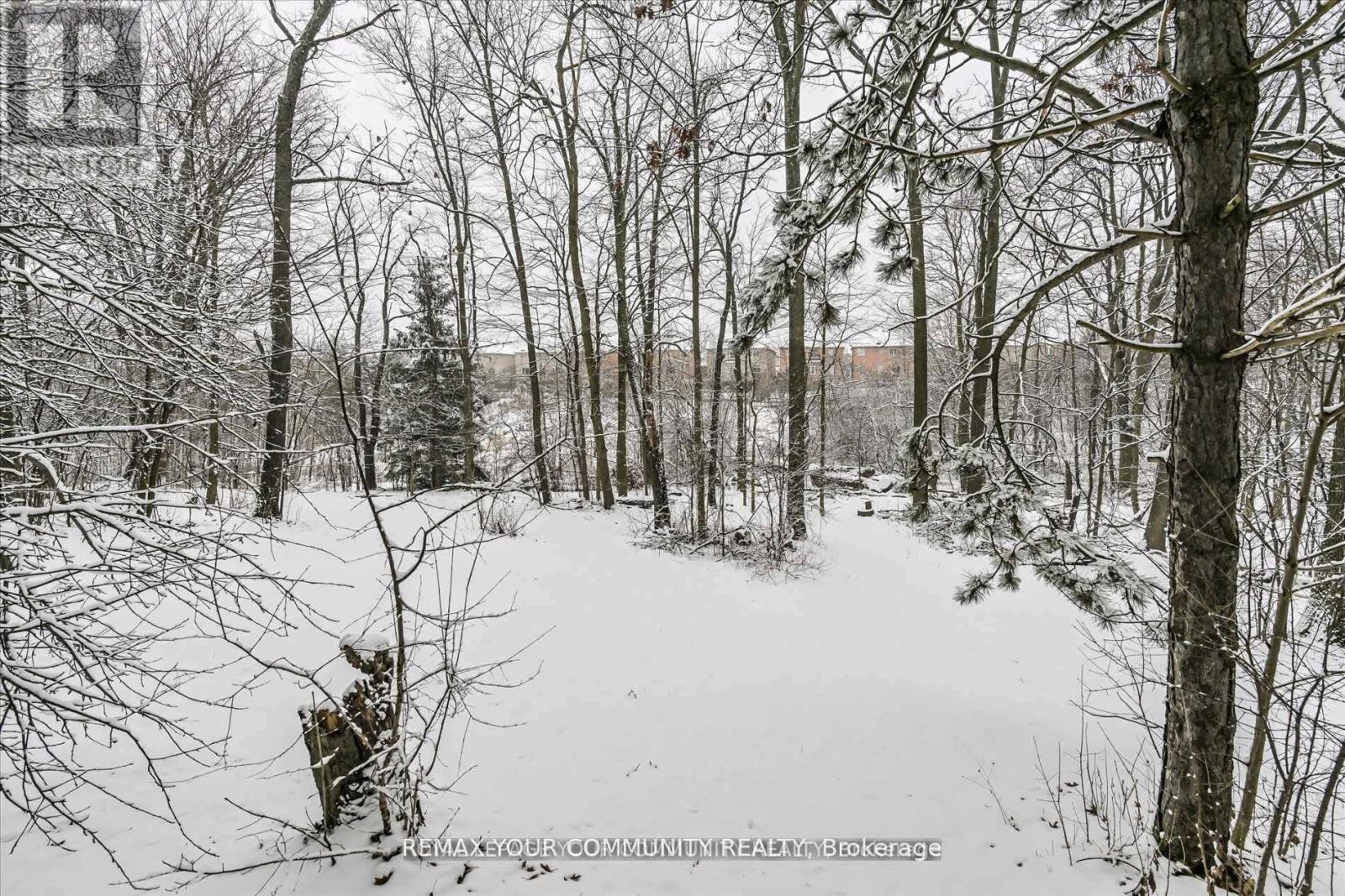 247 Harris Avenue, Richmond Hill, Ontario  L4E 3M3 - Photo 24 - N12764170