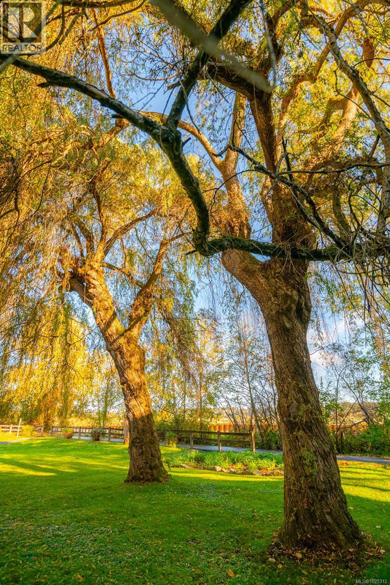 106d 1800 Riverside Lane, Courtenay, British Columbia  V9N 8C7 - Photo 36 - 1025312