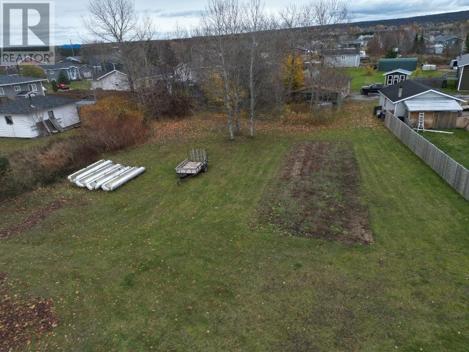 3 Shaws Lane, Deer Lake, Newfoundland & Labrador  A8A 2B1 - Photo 31 - 1292372