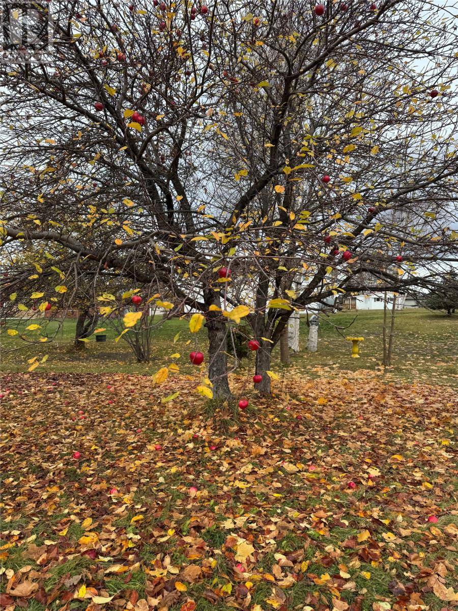 3 Shaws Lane, Deer Lake, Newfoundland & Labrador  A8A 2B1 - Photo 32 - 1292372