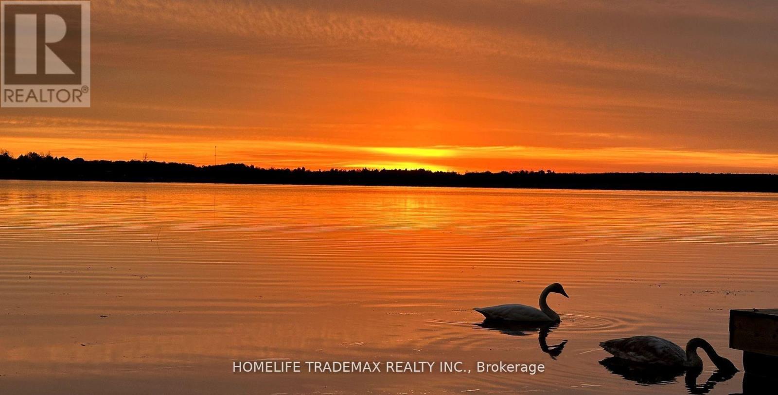 65 Druan Drive, Kawartha Lakes, Ontario  L9L 1B6 - Photo 4 - X12764212