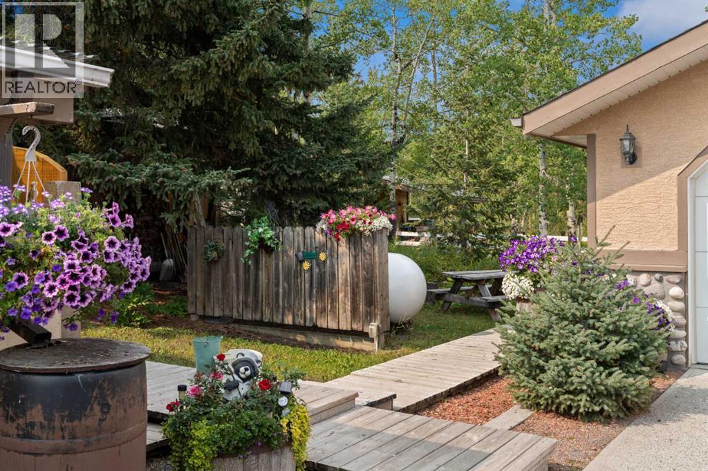 830230 Highway 1x, Rural Bighorn No. 8, Alberta  T0L 2C0 - Photo 23 - A2284396