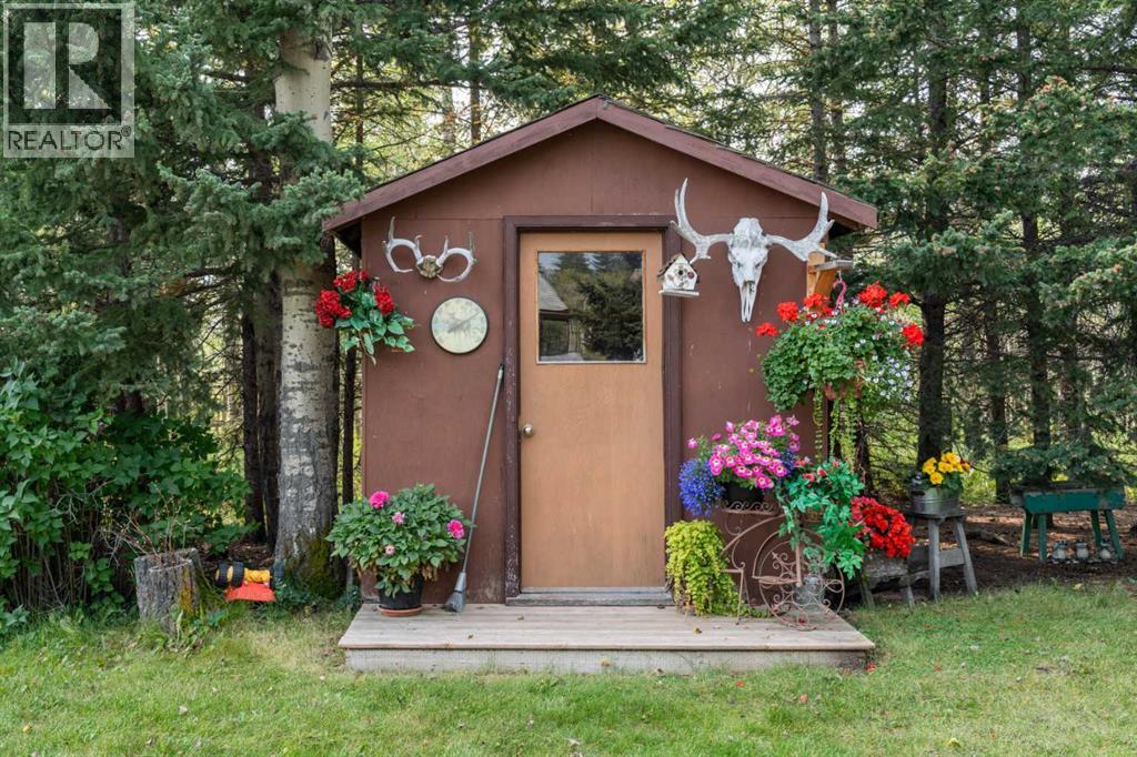 830230 Highway 1x, Rural Bighorn No. 8, Alberta  T0L 2C0 - Photo 32 - A2284396