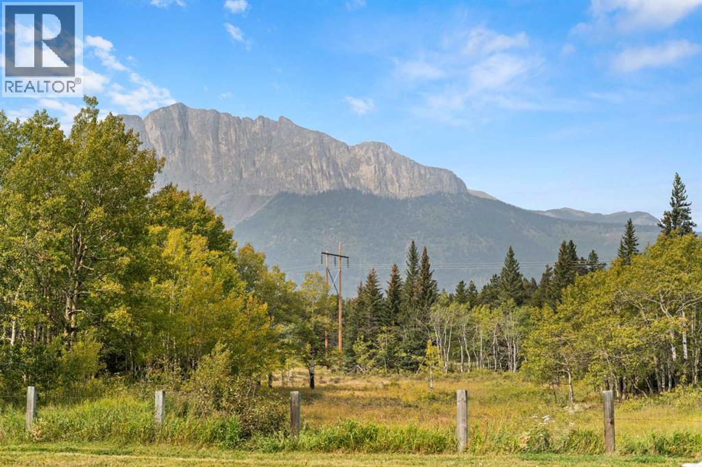 830230 Highway 1x, Rural Bighorn No. 8, Alberta  T0L 2C0 - Photo 34 - A2284396