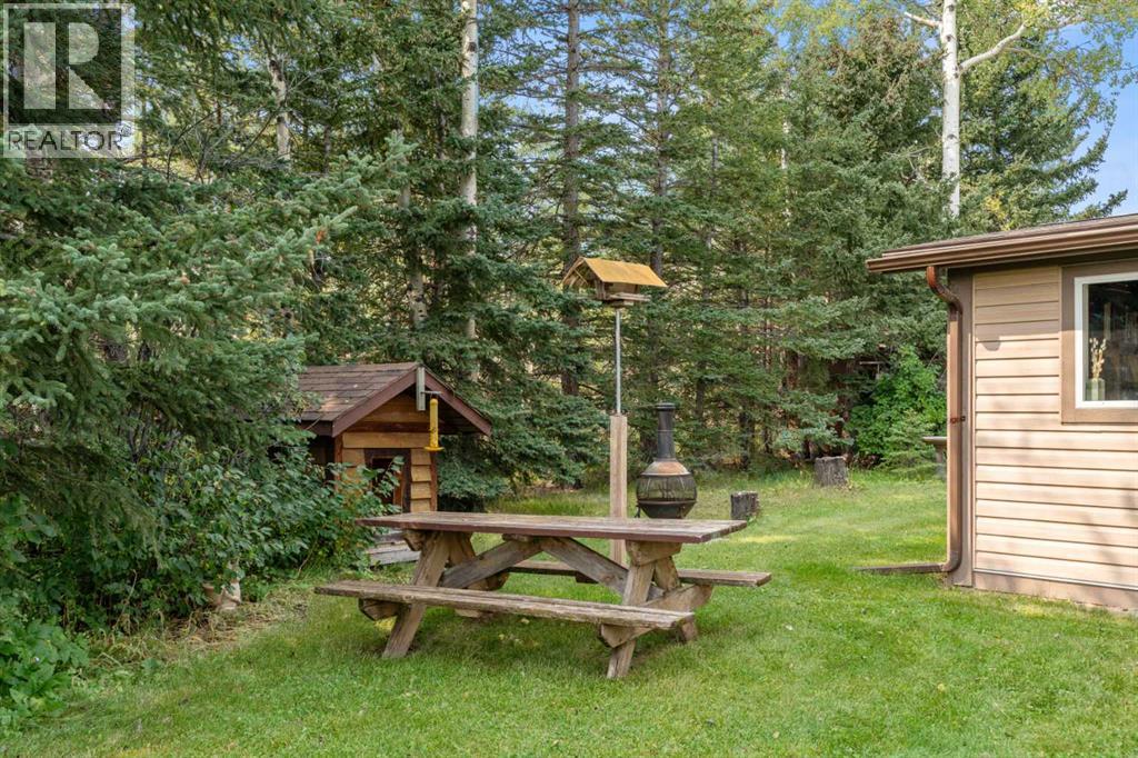 830230 Highway 1x, Rural Bighorn No. 8, Alberta  T0L 2C0 - Photo 43 - A2284396