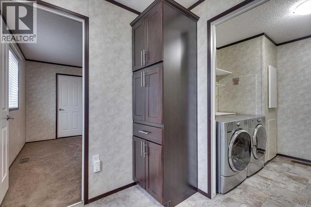 4512 47 Street, Alix, Alberta  T0C 0B0 - Photo 18 - A2273958