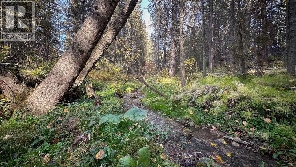 23, 5227 Township Road 320, Rural Mountain View County, Alberta  T0M 1X0 - Photo 28 - A2279672