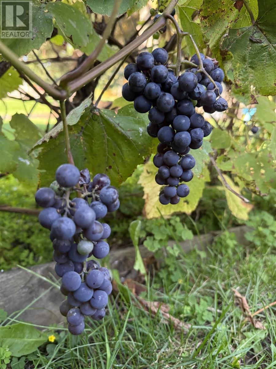 50 Anderson Rd, Sault Ste. Marie, Ontario  P6C 6B8 - Photo 49 - SM260241