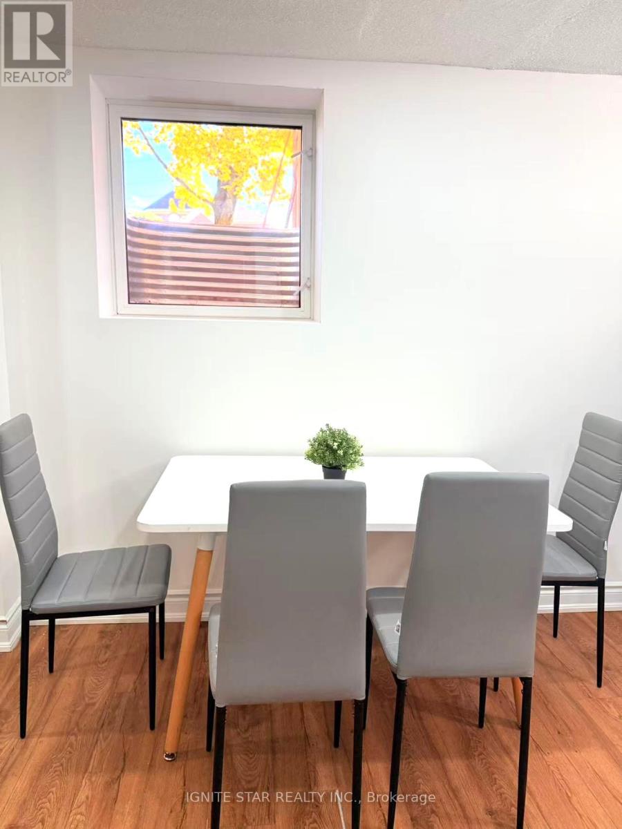 Basement Apartment - 2537 Ambercroft Trail, Mississauga, Ontario  L5M 4K5 - Photo 3 - W12764298