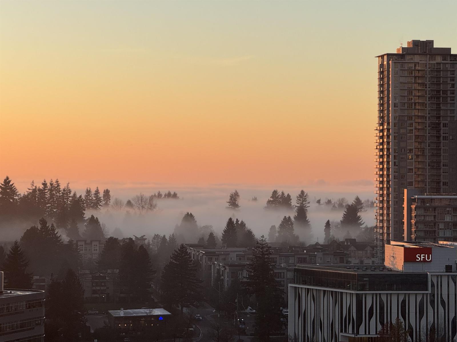 1909 13685 102 Avenue, Surrey, British Columbia  V3T 0S2 - Photo 2 - R3074837