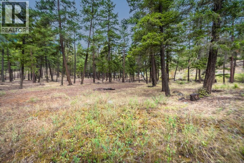 5225 12 Highway, Lillooet, British Columbia  V0K 1V0 - Photo 3 - 10374829