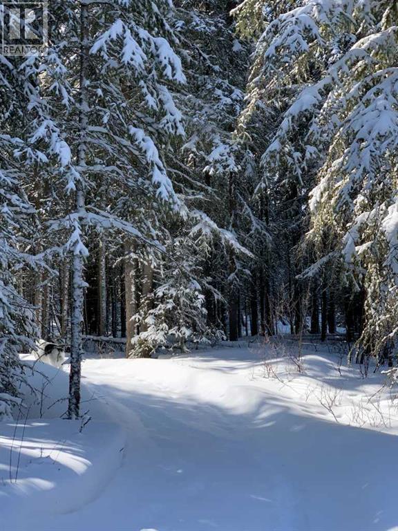 745059 Range Road 50, Rural Grande Prairie No. 1, Alberta  T0H 3C0 - Photo 47 - A2280484