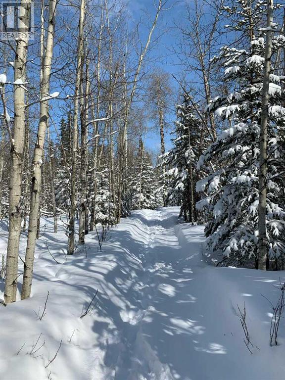 745059 Range Road 50, Rural Grande Prairie No. 1, Alberta  T0H 3C0 - Photo 48 - A2280484