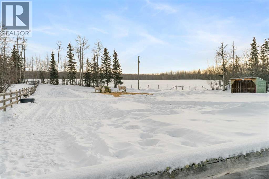 745059 Range Road 50, Rural Grande Prairie No. 1, Alberta  T0H 3C0 - Photo 29 - A2280484