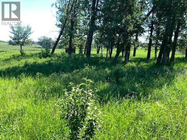 2900 Highway 2a, Rural Ponoka County, Alberta  T4J 1R7 - Photo 16 - A2278808