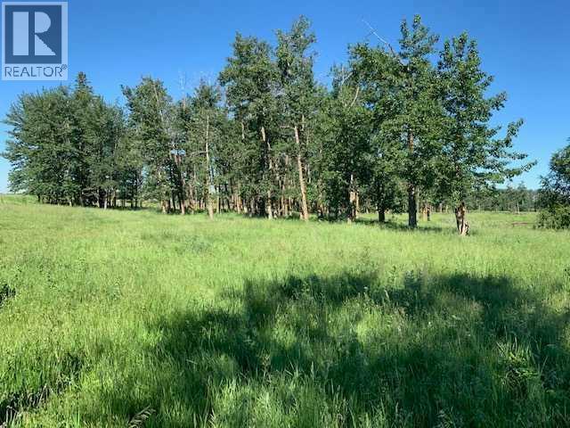 2900 Highway 2a, Rural Ponoka County, Alberta  T4J 1R7 - Photo 19 - A2278808