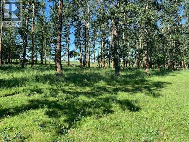 2900 Highway 2a, Rural Ponoka County, Alberta  T4J 1R7 - Photo 12 - A2278808