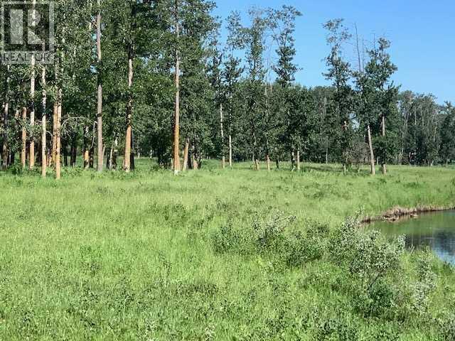 2900 Highway 2a, Rural Ponoka County, Alberta  T4J 1R7 - Photo 11 - A2278808