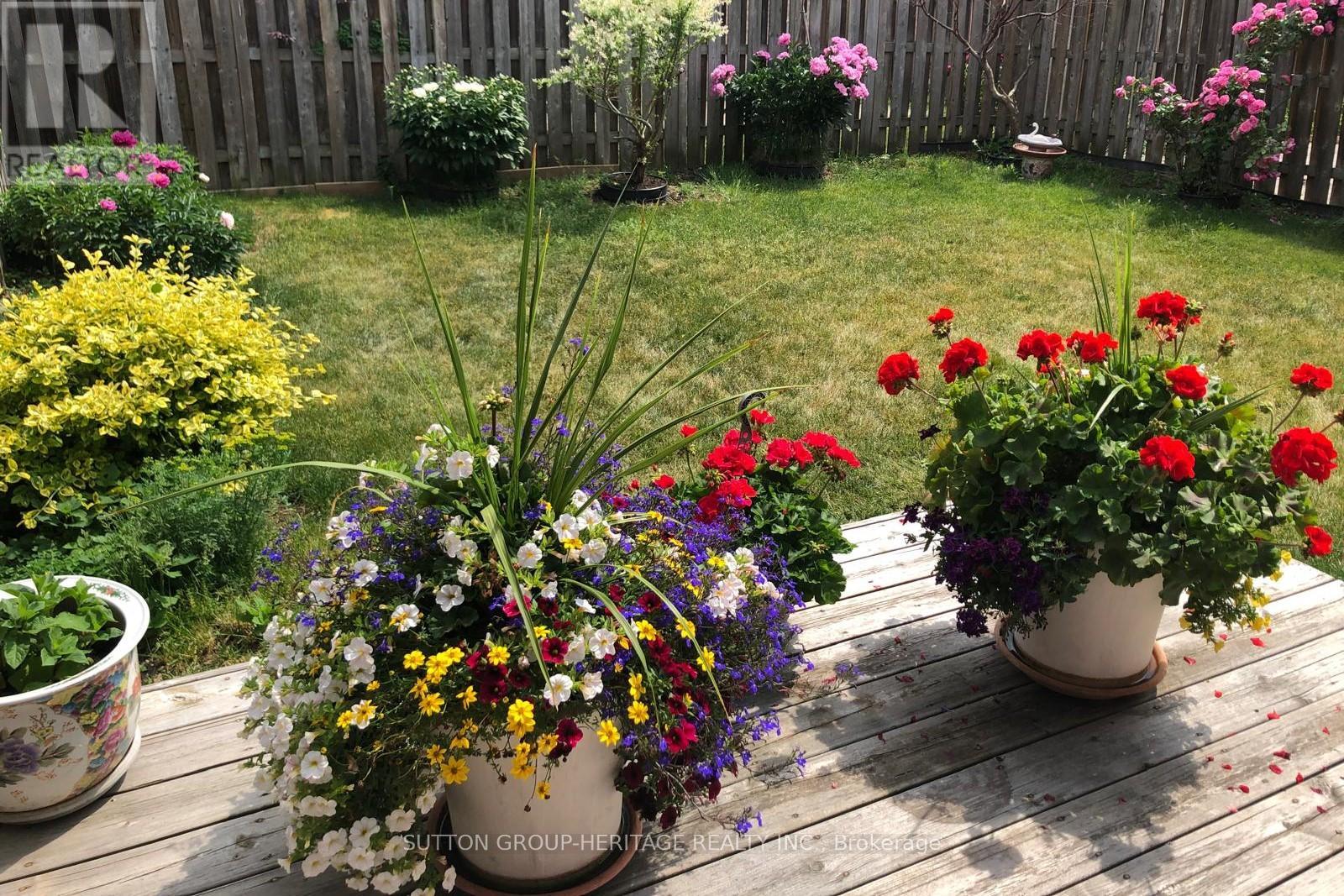 31 Thornton Street, Markham, Ontario  L3S 4P7 - Photo 29 - N12764762