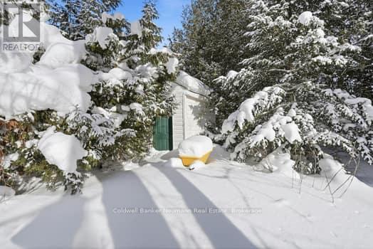 56 Cedar Bush Drive, Saugeen Shores, Ontario  N0H 2L0 - Photo 30 - X12764842